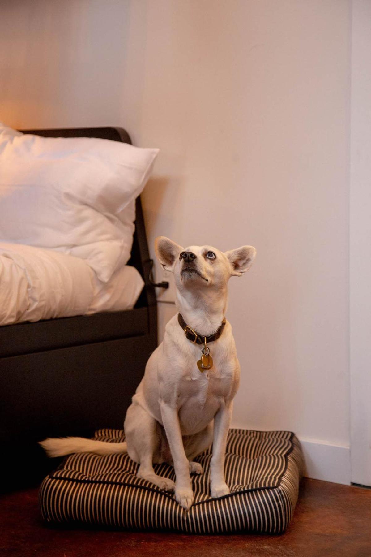 Reading Viaduct Loft, City Center, Contactless Check In Philadelphia Buitenkant foto
